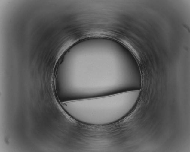 X0000098020901200803280750