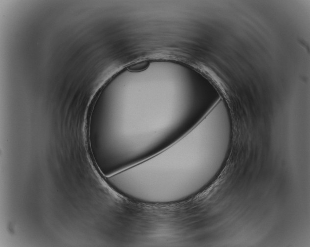 X0000098020902200803280750