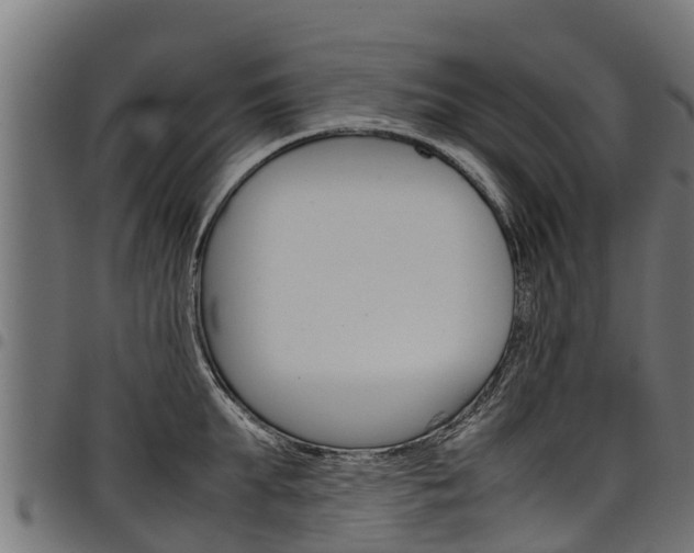 X0000098020903200803280750
