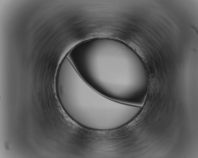 X0000098020904200803280750