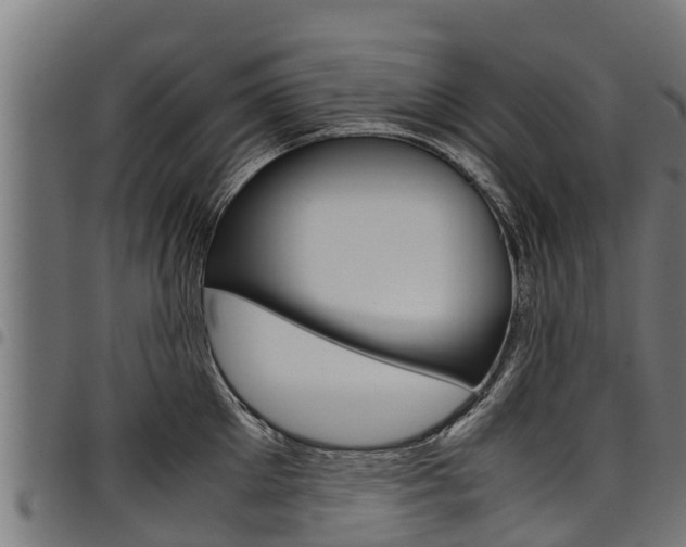 X0000098020905200803280750