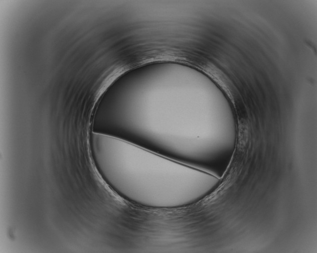X0000098020906200803280750
