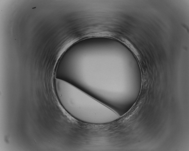 X0000098020909200803280750