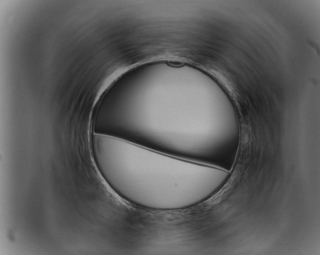 X0000098020910200803280750