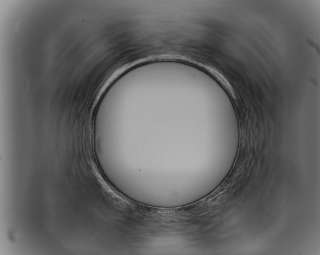 X0000098020911200803280750