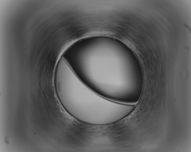 X0000098020912200803280750