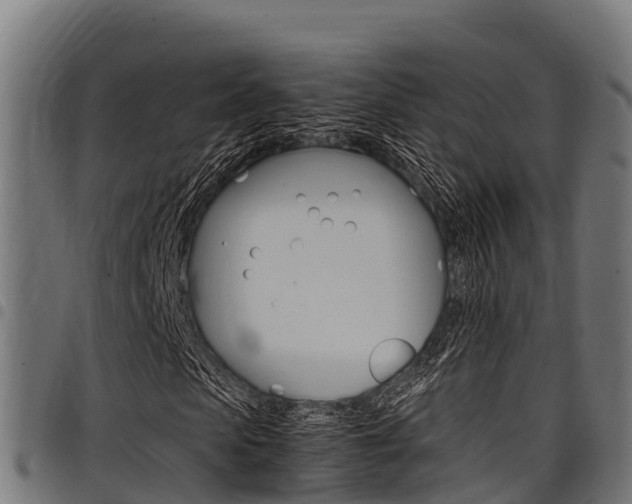 X0000098020913200803280750