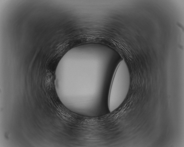 X0000098020914200803280750