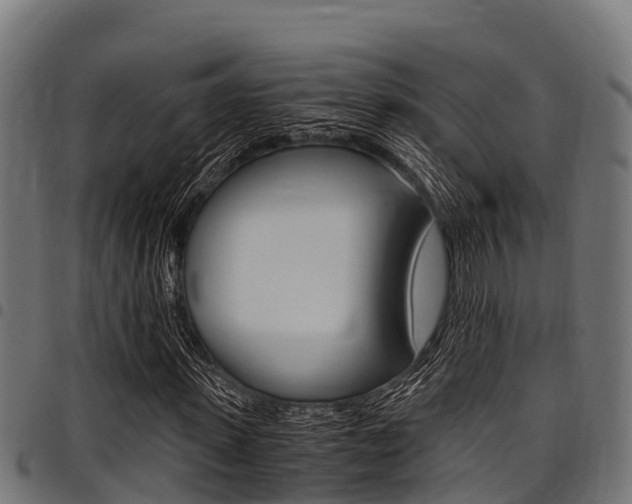 X0000098020915200803280750