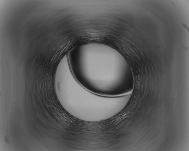 X0000098020916200803280750