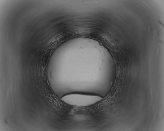 X0000098020917200803280750