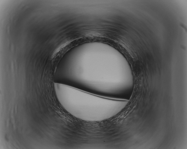 X0000098020919200803280750