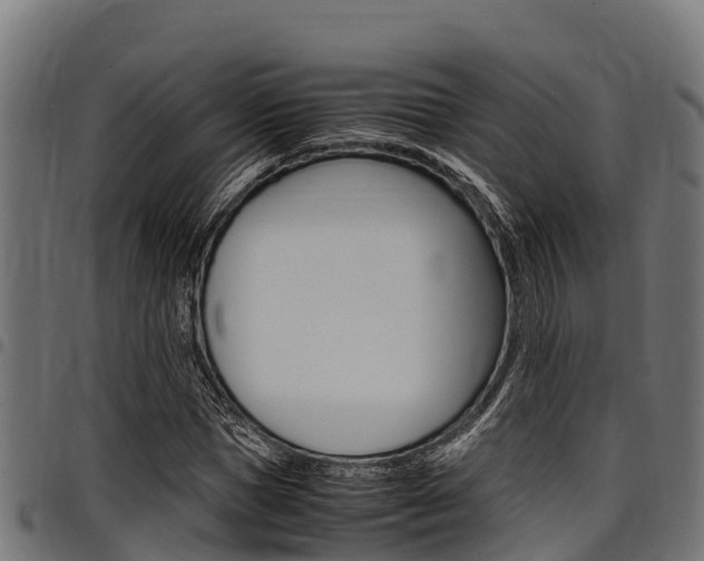 X0000098020921200803280750
