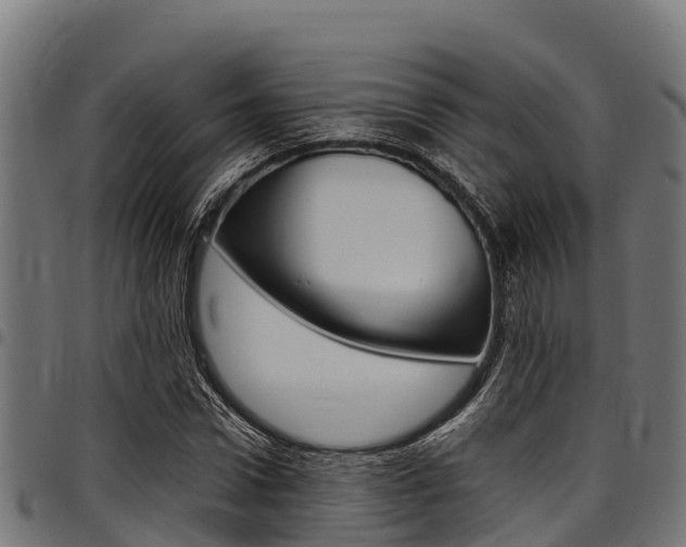X0000098020922200803280750