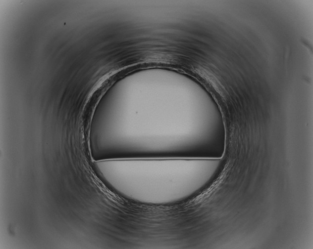 X0000098020923200803280750