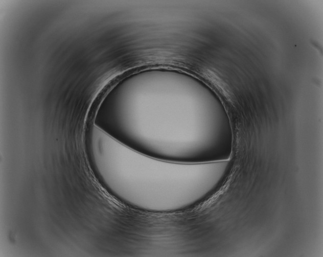 X0000098020924200803280750