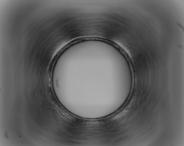 X0000098020925200803280750