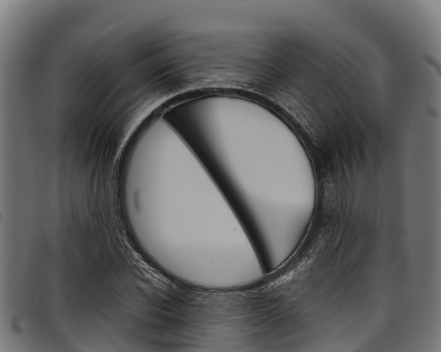 X0000098020926200803280750