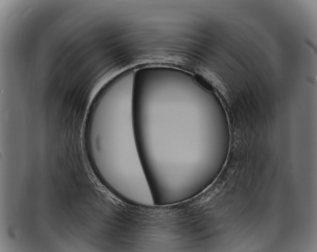 X0000098020928200803280750