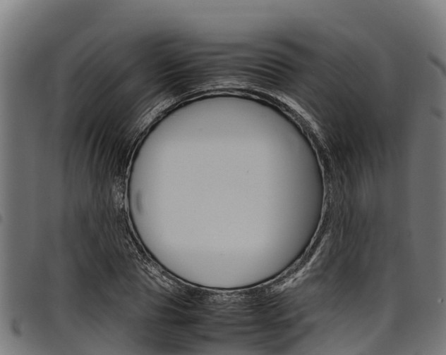 X0000098020929200803280750