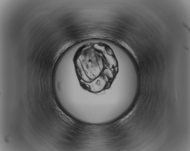 X0000098020930200803280750