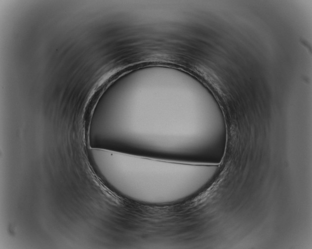 X0000098020931200803280750