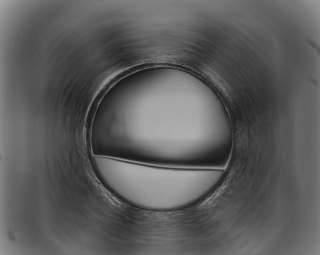 X0000098020932200803280750