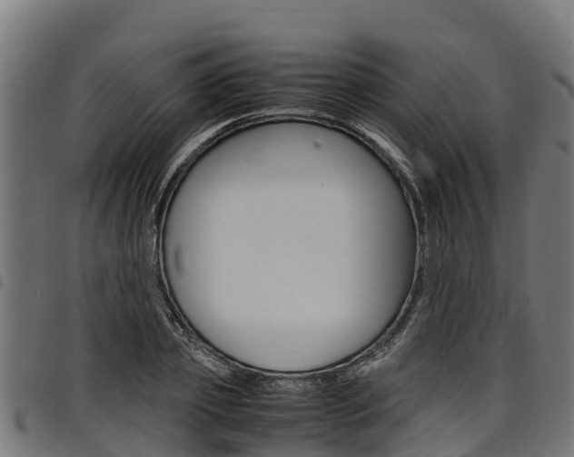 X0000098020933200803280750