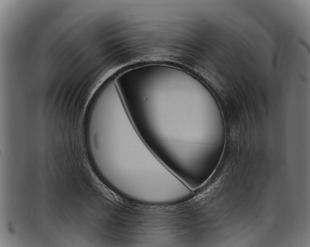 X0000098020934200803280750