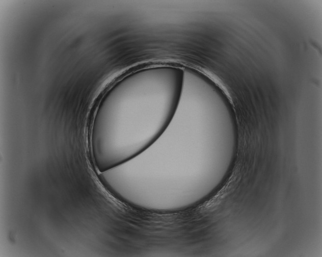 X0000098020935200803280750