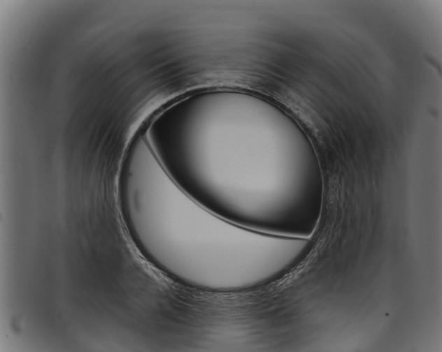 X0000098020936200803280750
