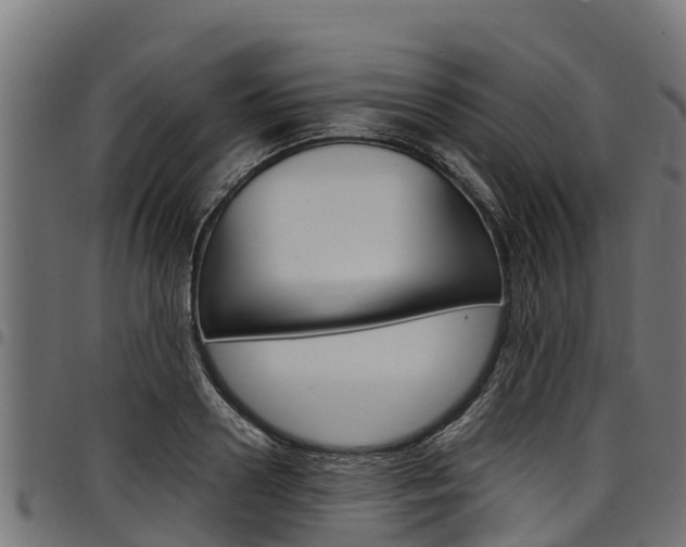 X0000098020938200803280750