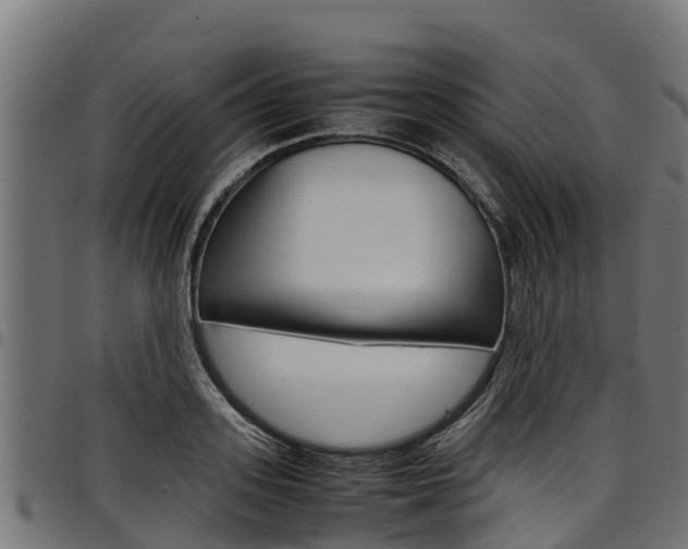 X0000098020939200803280750