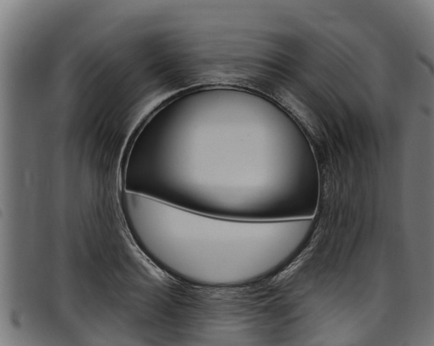 X0000098020940200803280750