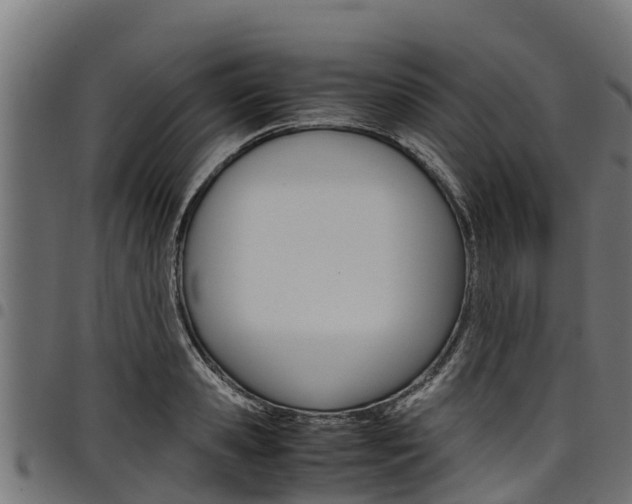 X0000098020941200803280750