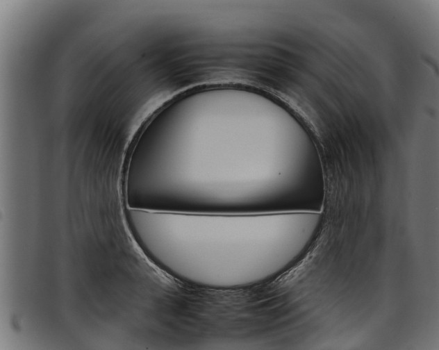 X0000098020943200803280750