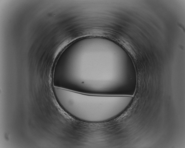 X0000098020944200803280750