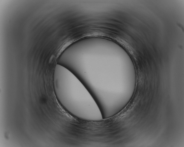 X0000098020945200803280750