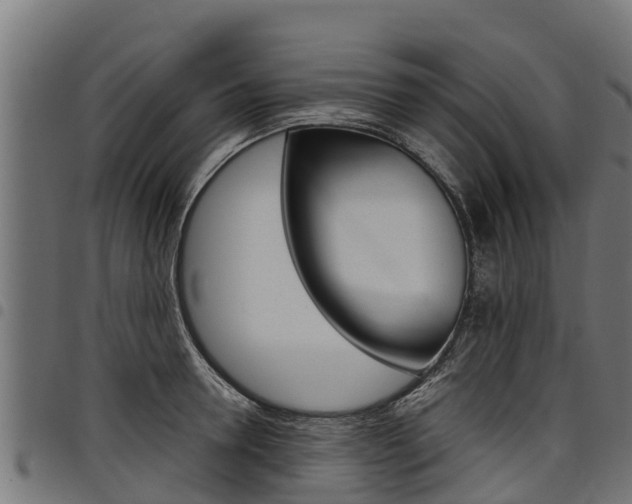 X0000098020946200803280750