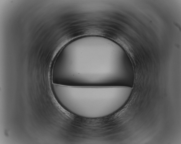 X0000098020947200803280750