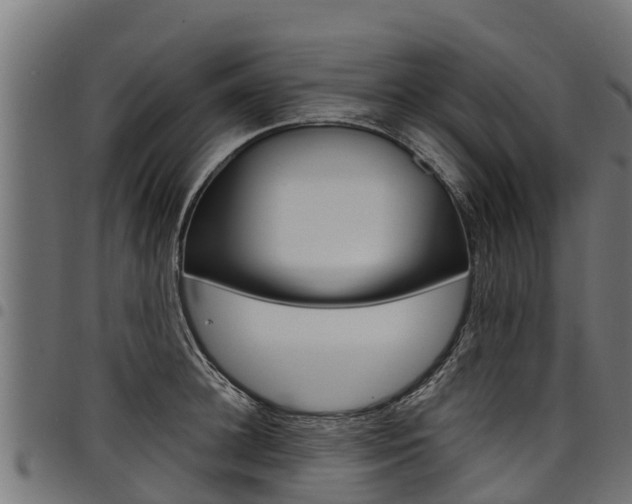 X0000098020948200803280750