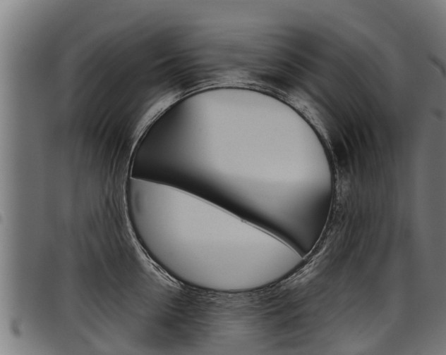 X0000098020954200803280750