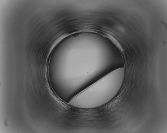 X0000098020955200803280750