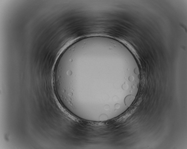X0000098020957200803280750