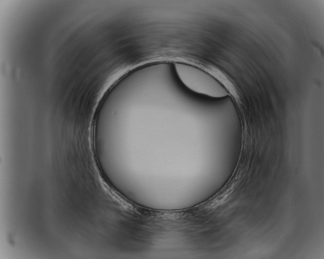X0000098020958200803280750