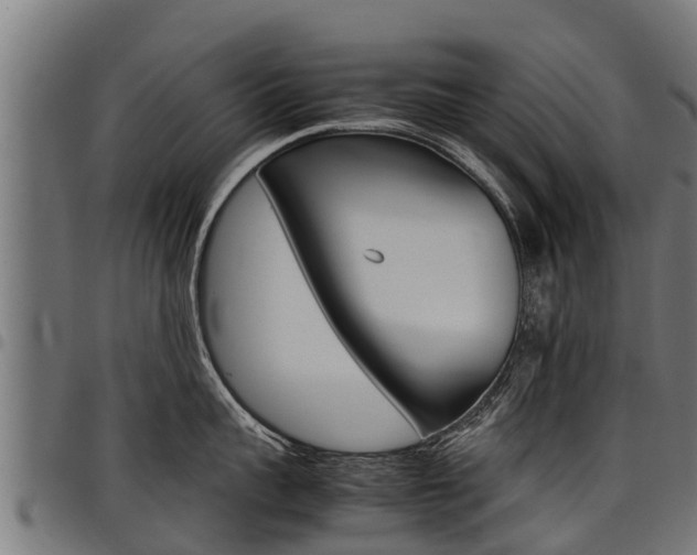 X0000098020959200803280750