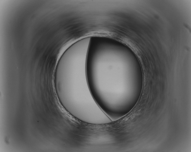 X0000098020960200803280750