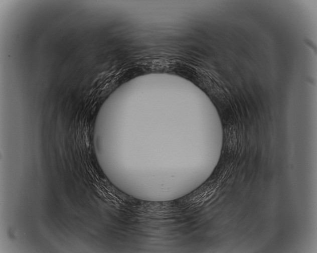 X0000098020962200803280750