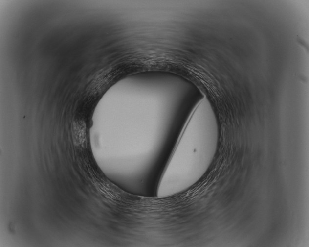 X0000098020963200803280750