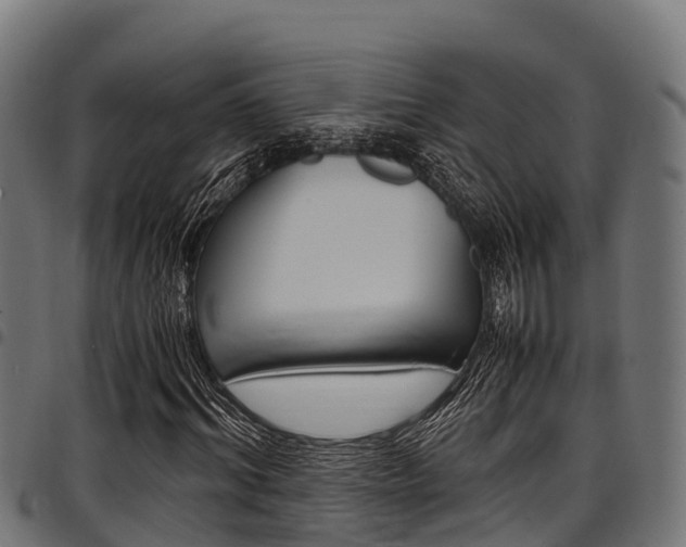 X0000098020964200803280750